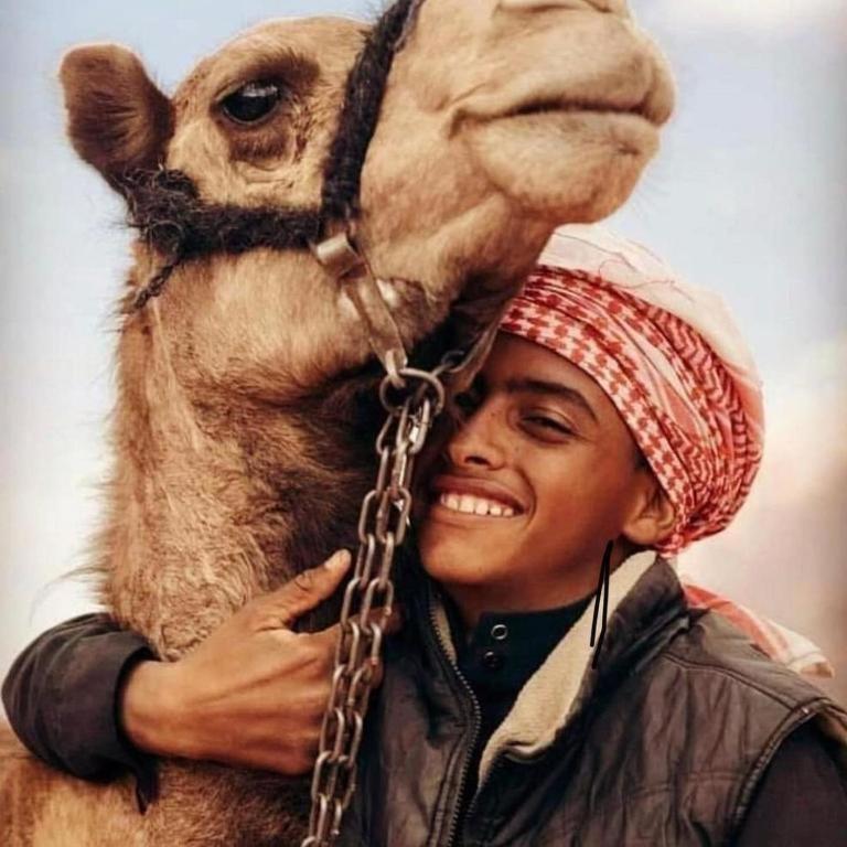 Wadi Rum Desert Heart Camp 外观 照片