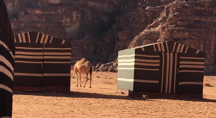 Wadi Rum Desert Heart Camp 外观 照片